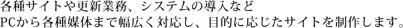 各種サイトや更新業務、システムの導入など
PCから各種媒体まで幅広く対応し、目的に応じたサイトを制作します。